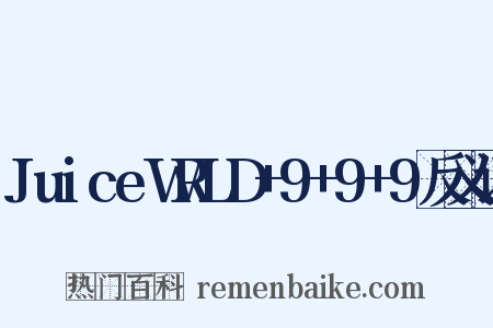 JuiceWRLD+9+9+9反义词是什么意思的图片